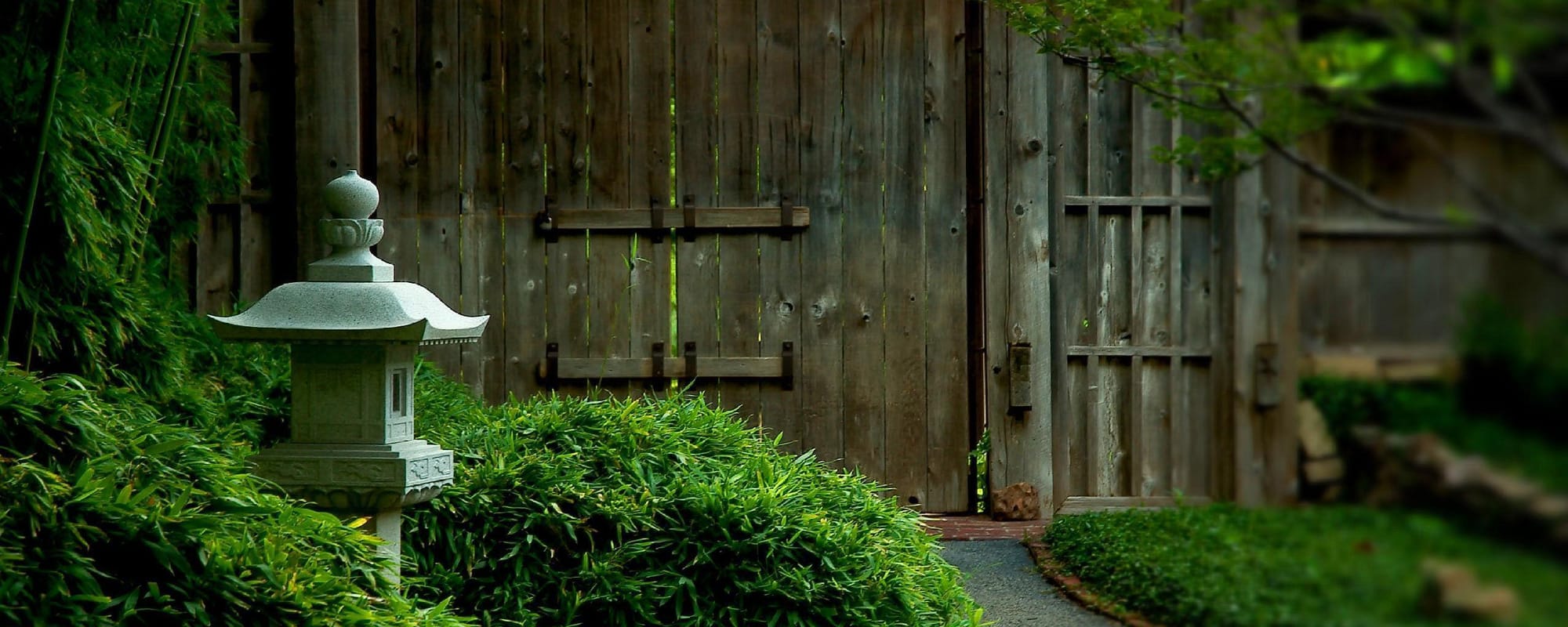 Infrastructure : Pourquoi MADSAAS passe sur Ghost CMS